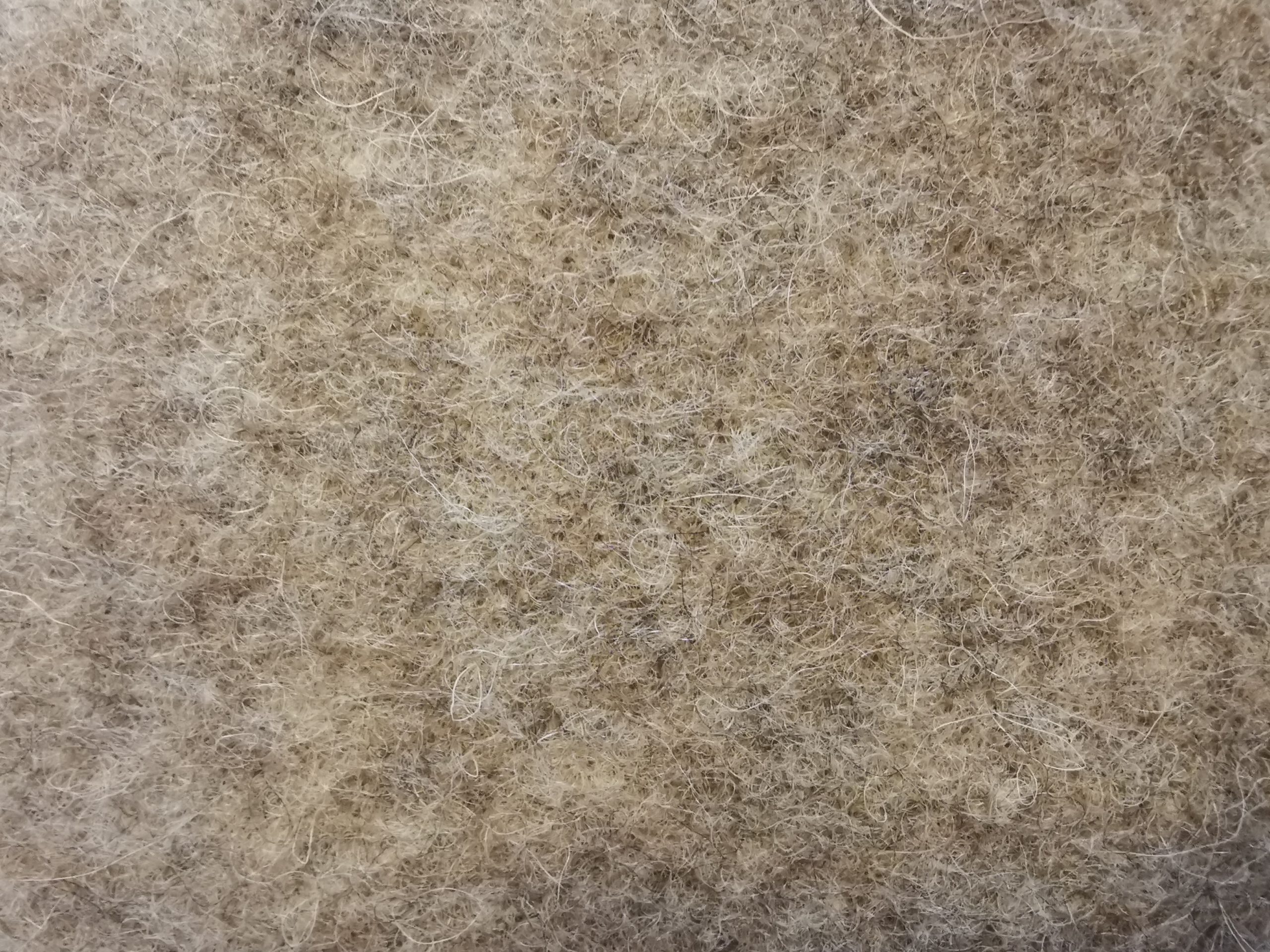 Schuheinlagen – Bild 4